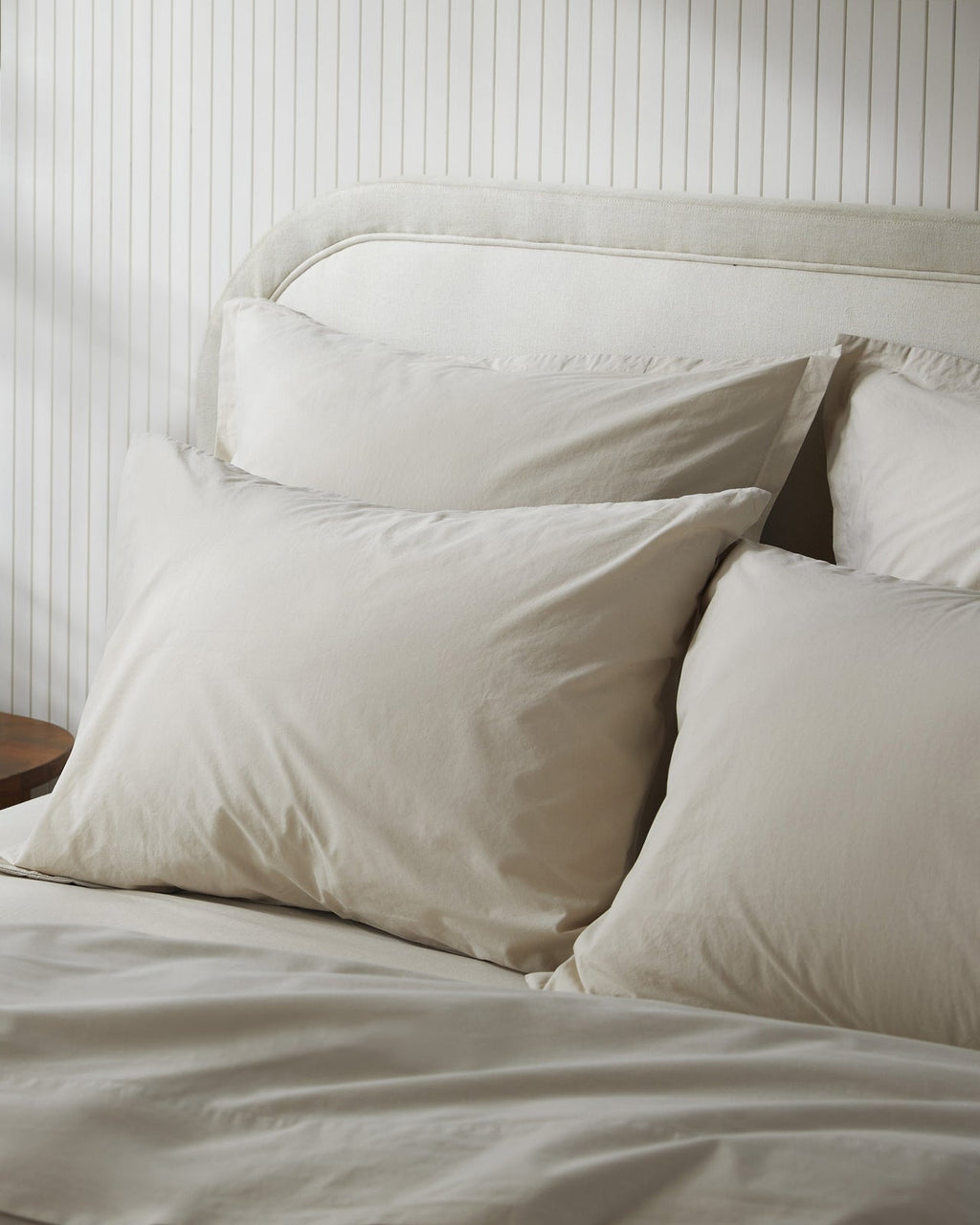 Brushed Cotton Euro Sham (Bone)