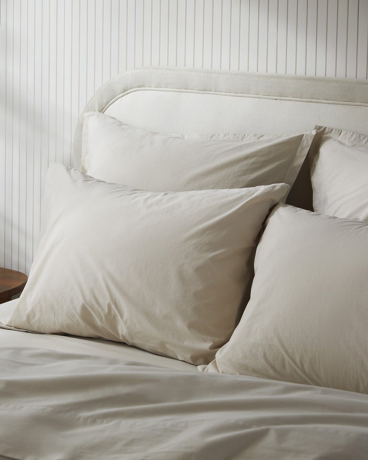 Brushed Cotton Euro Sham (Bone)