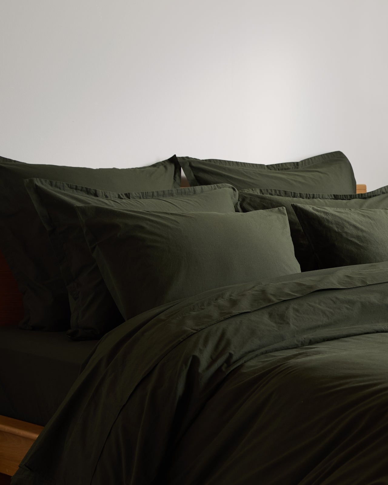 Brushed Cotton Euro Sham (Evergreen)
