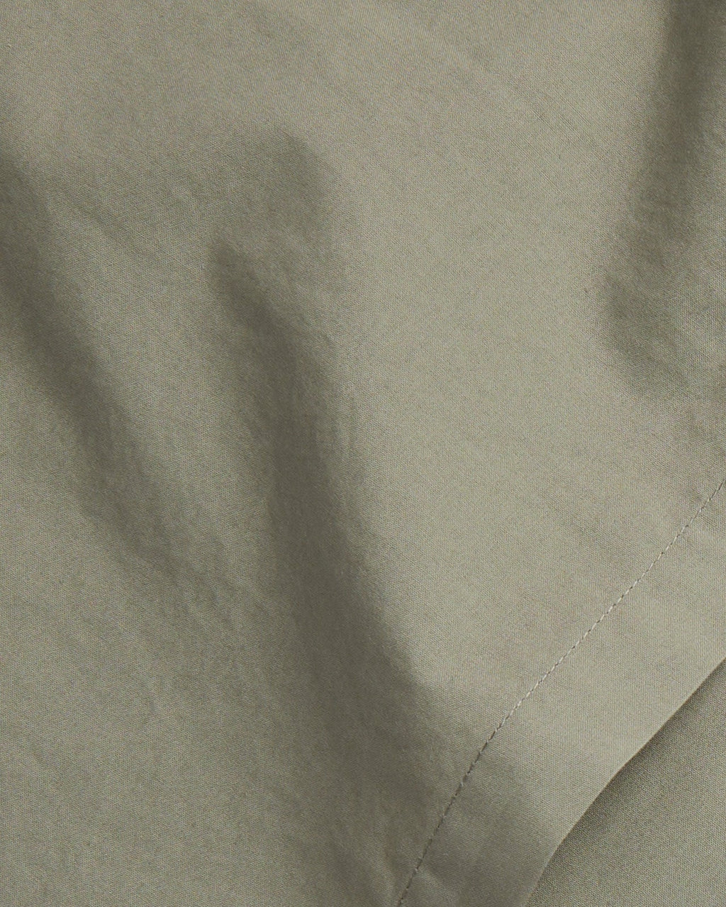 Brushed Cotton Euro Sham (Moss)