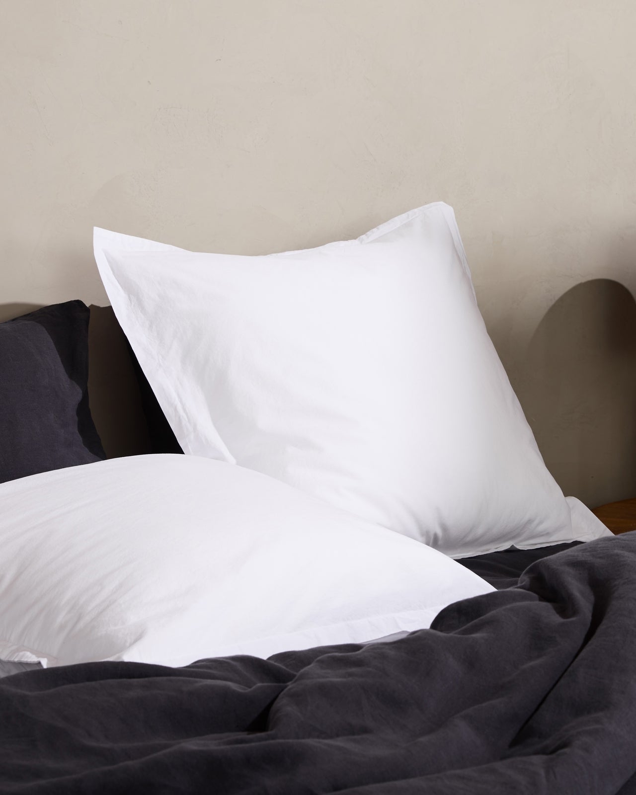 Brushed Cotton Euro Sham (White)