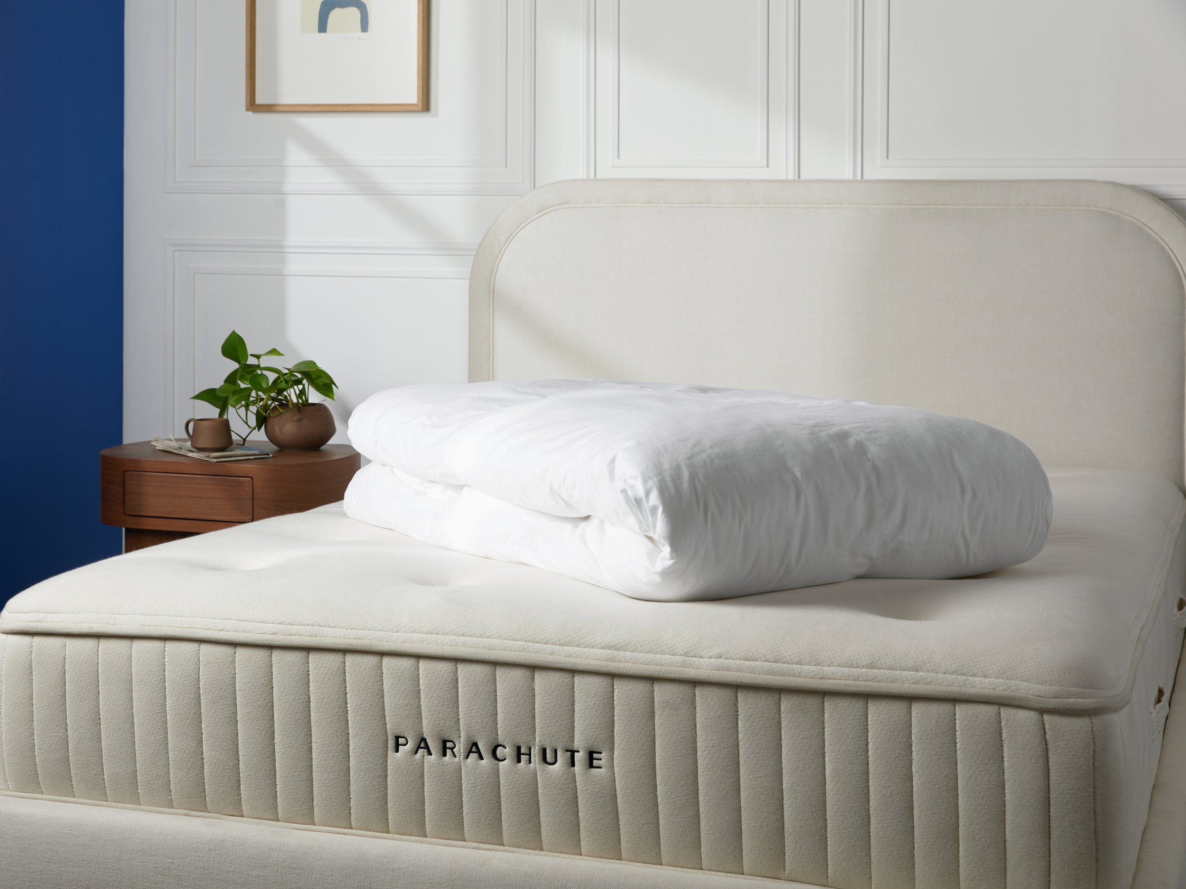 Down Mattress Topper
