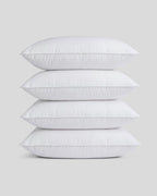 Down Pillow Bundle