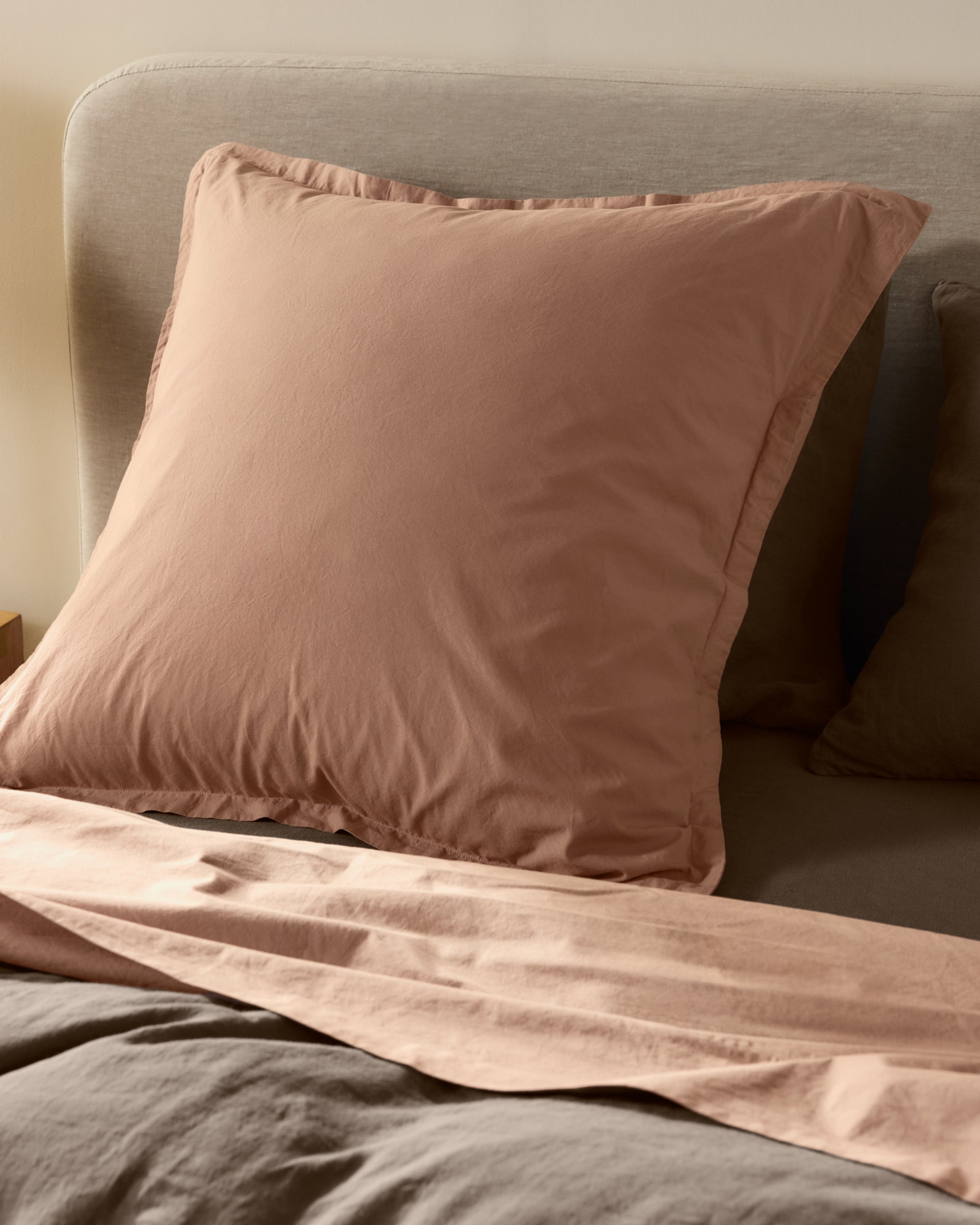 Brushed Cotton Euro Sham (Adobe)