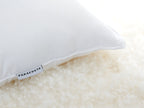 Recycled Down Pillow