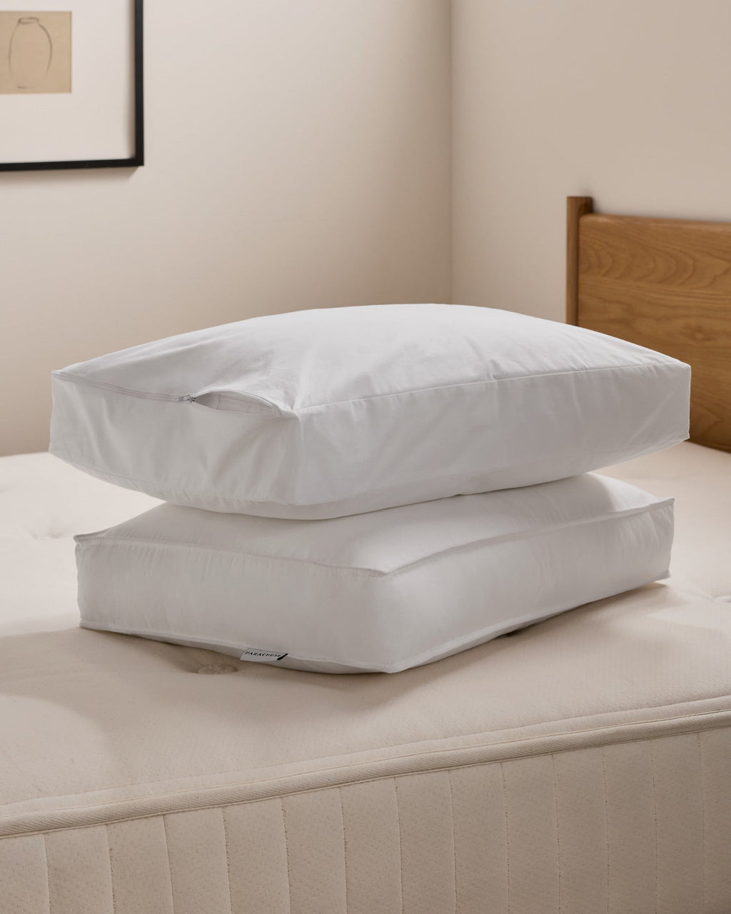 Side Sleeper Pillow Protector